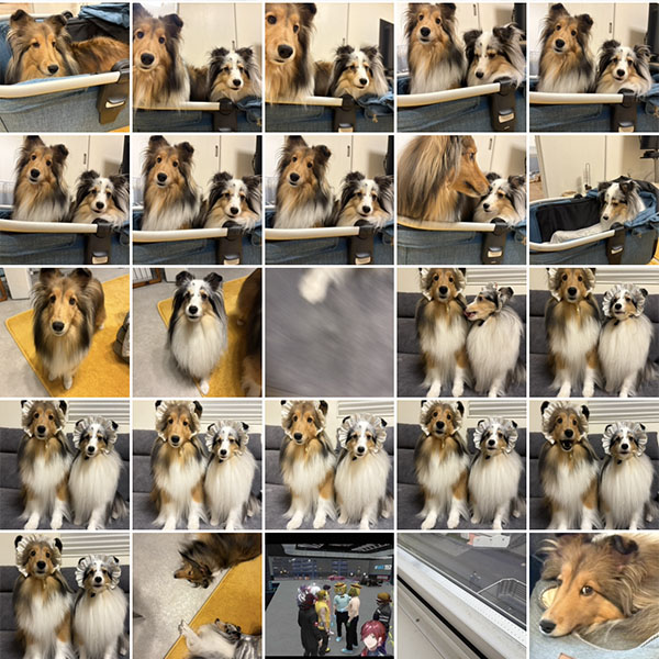 ネタがない・・・ ネタがない・・・